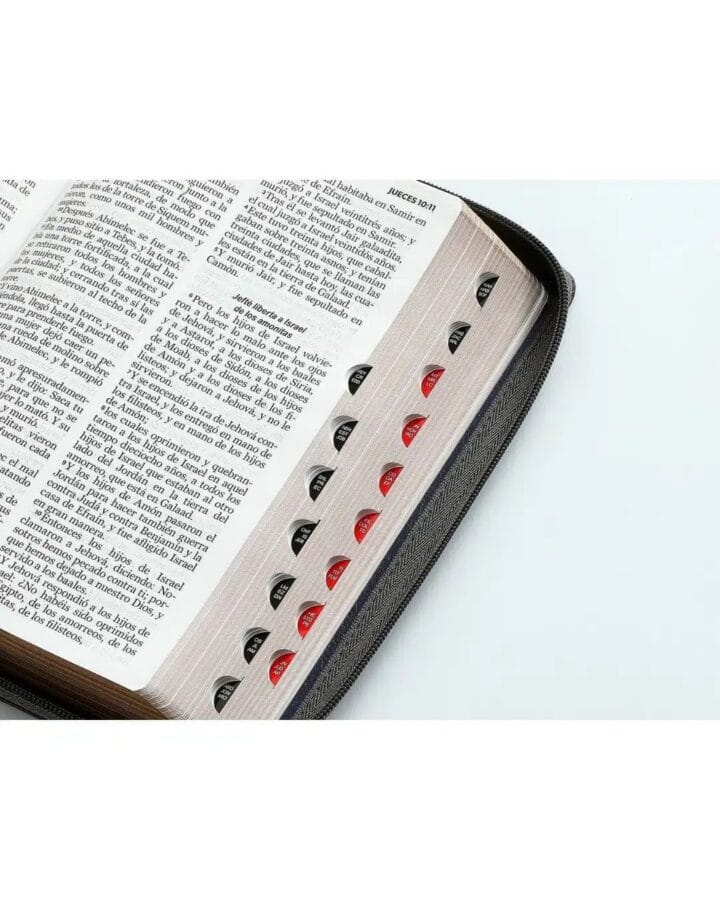 Biblia Reina Valera 1960, Letra Grande, Símil Piel, Manual con Índice - Imagen 3