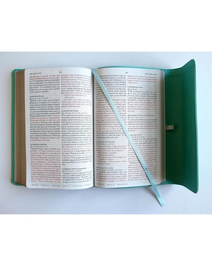 Biblia Reina Valera 1960, Letra Grande, Símil Piel, Manual - Imagen 2