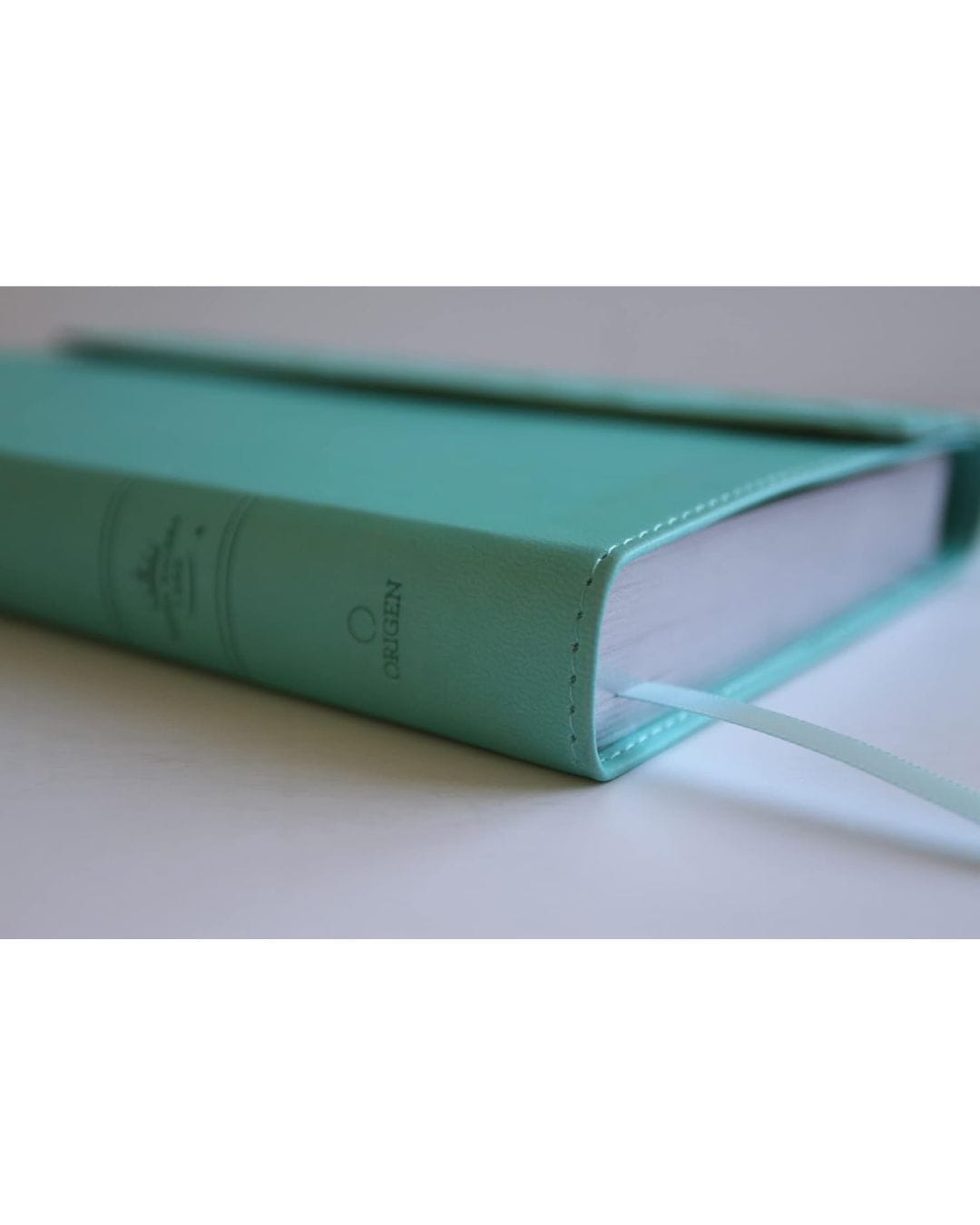 Biblia Reina Valera 1960, Letra Grande, Símil Piel, Manual - Imagen 3