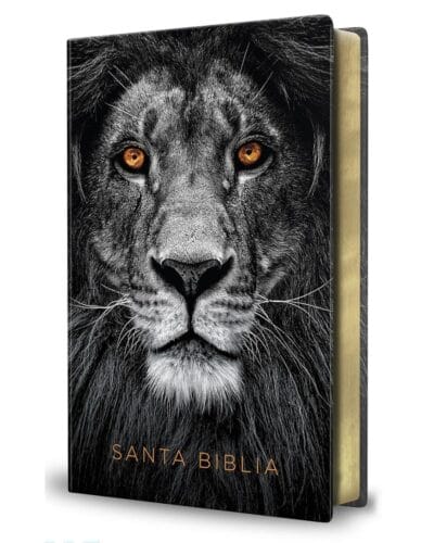 Biblia Reina Valera 1960, Letra Grande, Tapa Dura, Manual