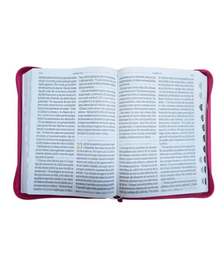 Biblia Reina Valera 1960, Letra Super Gigante, Símil Piel, con Cierre e Índice - Imagen 3