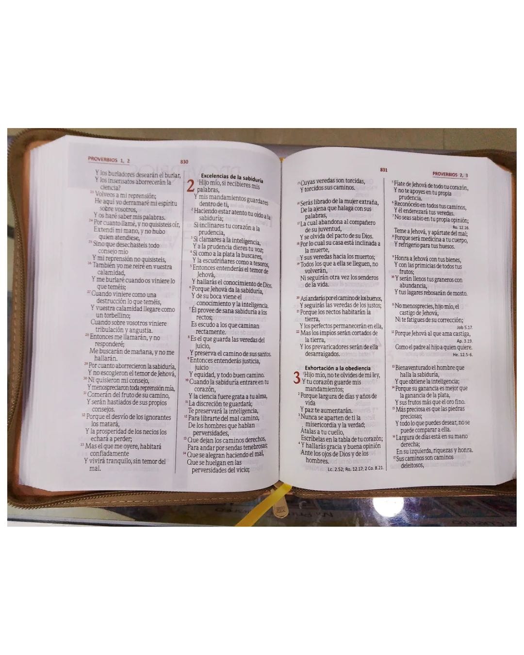 Biblia Reina Valera 1960, Símil Piel, Manual, con Cierre - Imagen 2