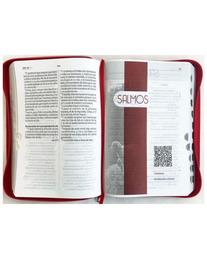 Biblia Reina Valera 1960, Símil Piel, Manual, con Cierre e Índice - Imagen 2