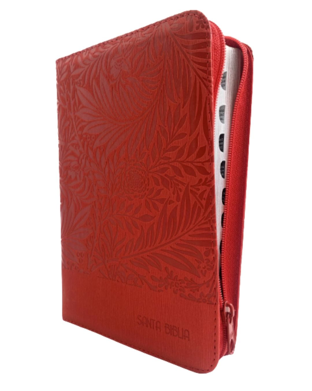 Biblia Reina Valera 1960, Símil Piel, Manual, con Cierre e Índice - Imagen 3