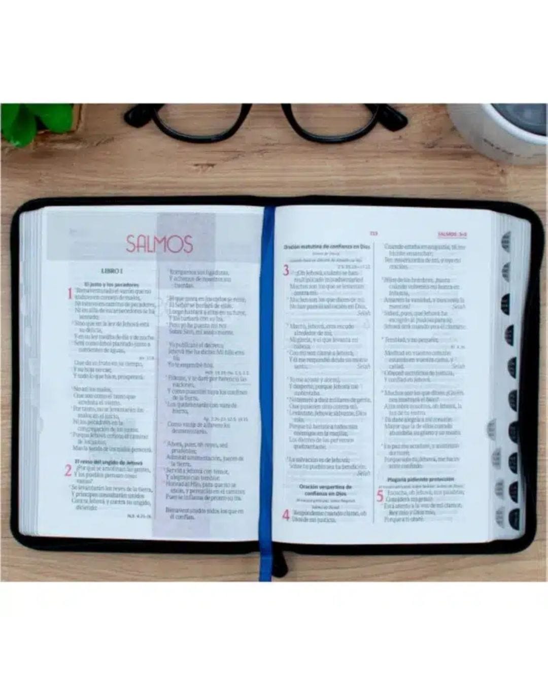 Biblia Reina Valera 1960, Símil Piel, Manual, con cierre e Indice - Imagen 5