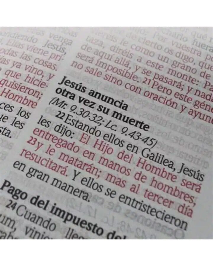 Biblia Reina Valera 1960, Símil Piel, Manual, con cierre e Indice - Imagen 6