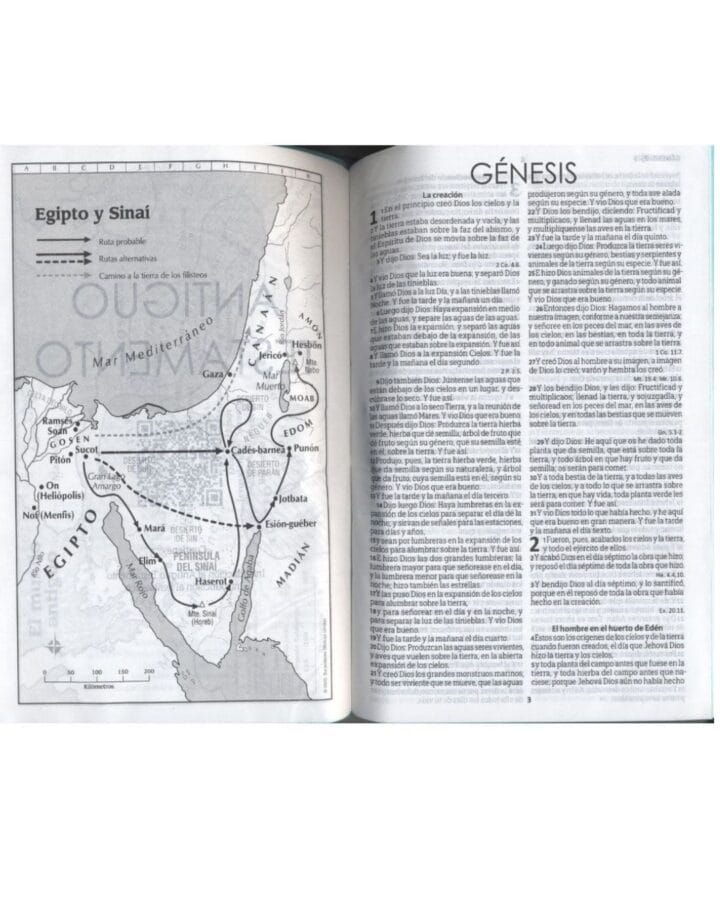 Biblia Reina Valera 1960, Símil Piel, Manual - Imagen 3