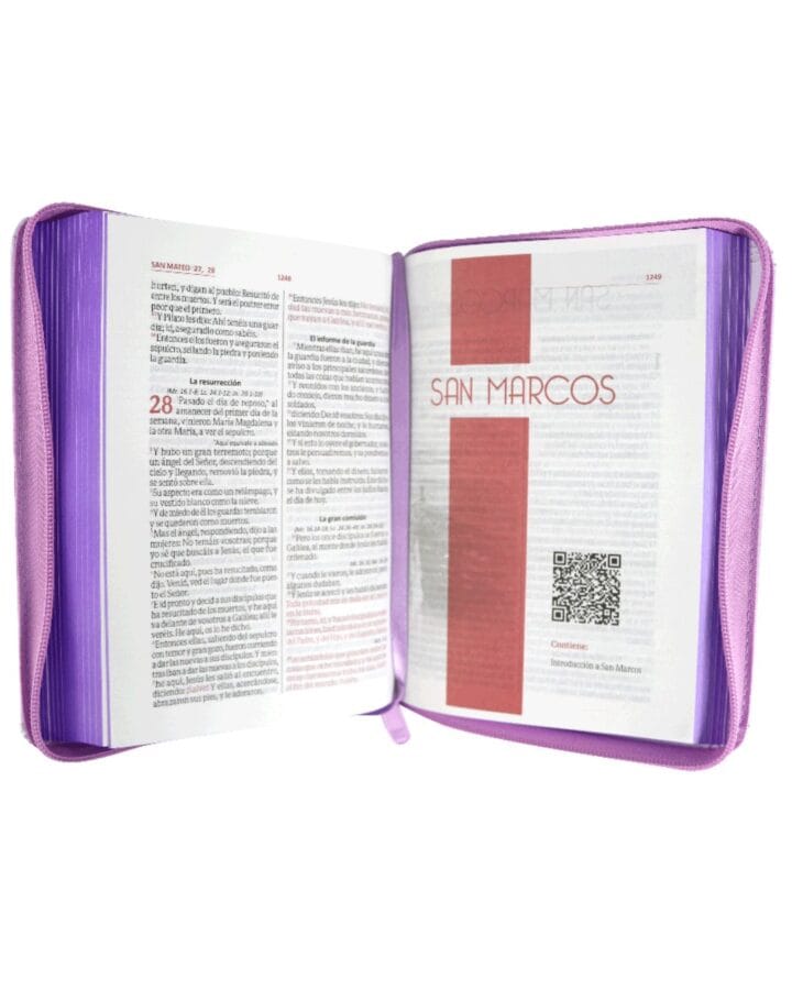 Biblia Reina Valera 1960, Símil Piel, Pequeña, con Cierre - Imagen 2