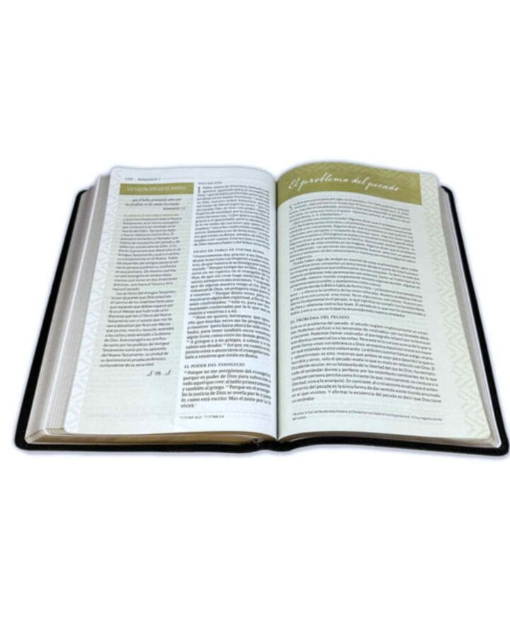 Biblia Temática de Estudio, Reina Valera 1960, Símil Piel, Manual - Imagen 4
