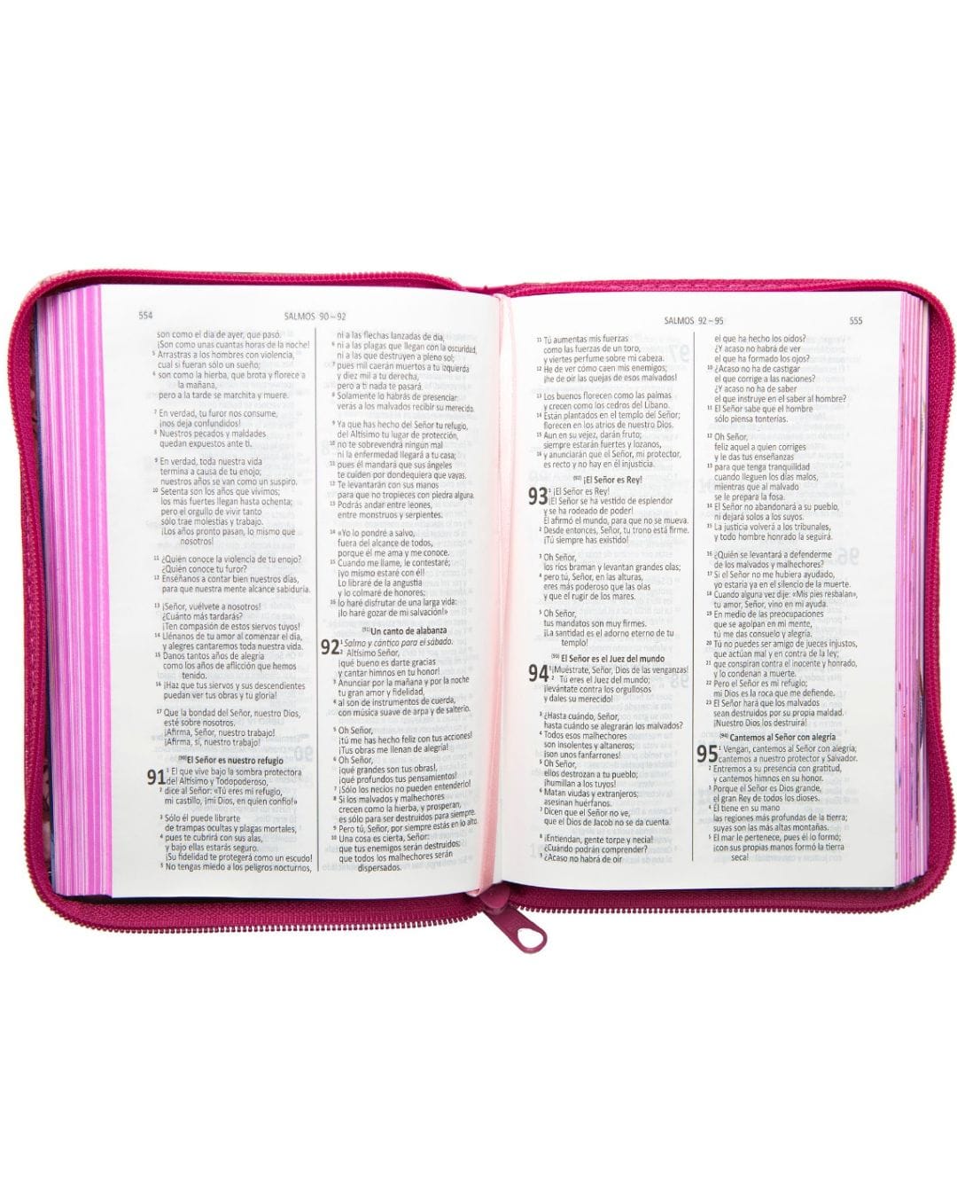 Biblia Valientes con Jesús, DHH, Acolchada, Pequeña, con Cierre - Imagen 3