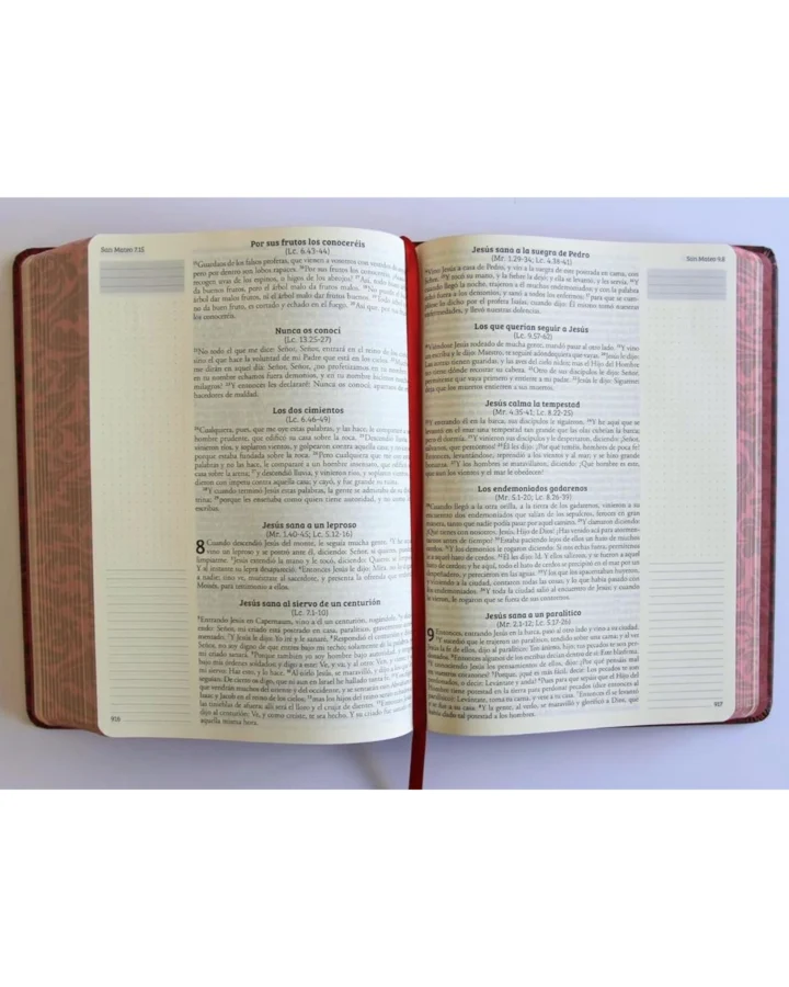 Biblia de Apuntes, Reina Valera 1960, Tapa Dura, Manual - Imagen 4