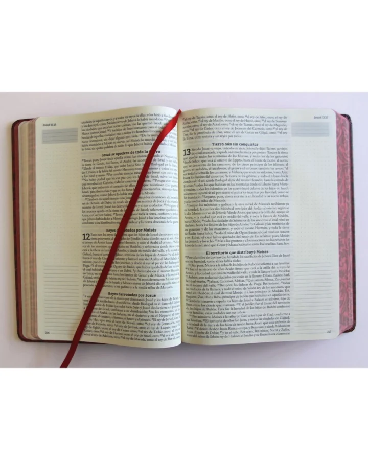 Biblia de Apuntes, Reina Valera 1960, Tapa Dura, Manual - Imagen 3