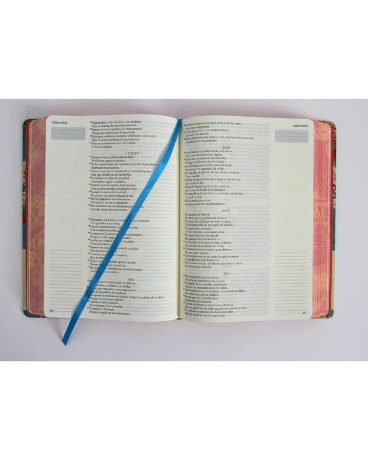 Biblia de Apuntes, Reina Valera 1960, Tapa Dura, Manual - Imagen 6