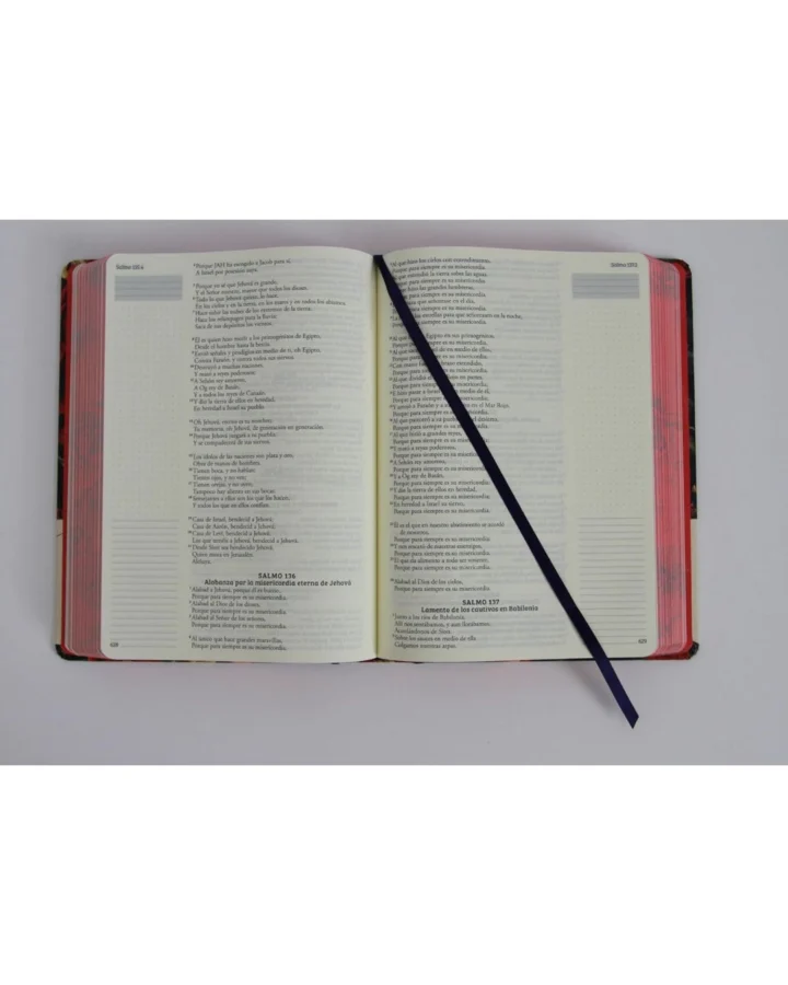 Biblia de Apuntes, Reina Valera 1960, Tapa Dura, Manual - Imagen 5