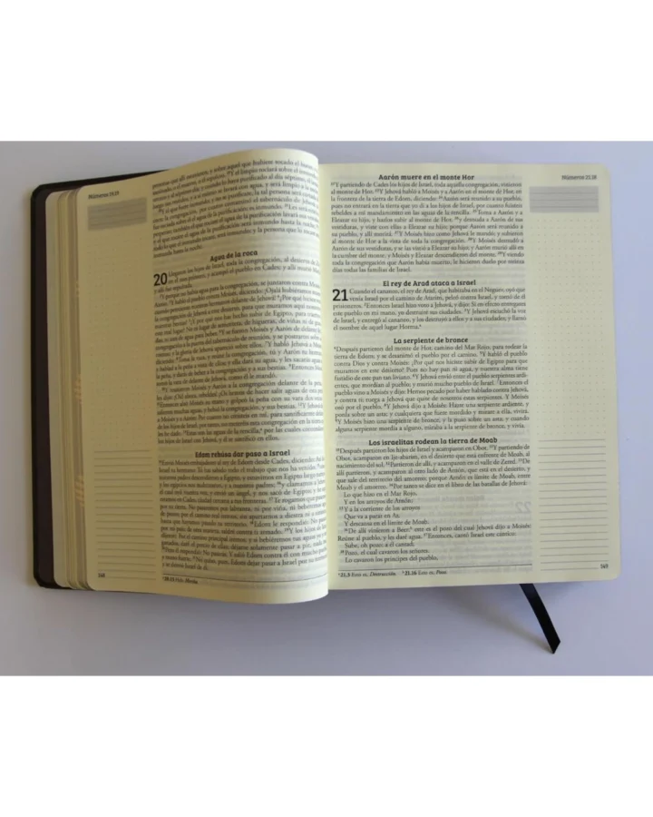 Biblia de Apuntes, Reina Valera 1960, Tapa Dura, Manual - Imagen 8