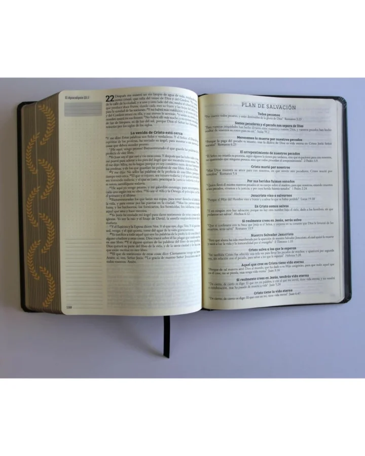 Biblia de Apuntes, Reina Valera 1960, Tapa Dura, Manual - Imagen 7