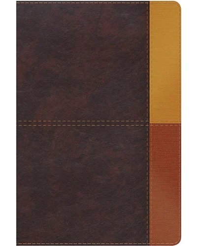 Biblia de Estudio Arco Iris, Reina Valera 1960, Símil Piel, Grande
