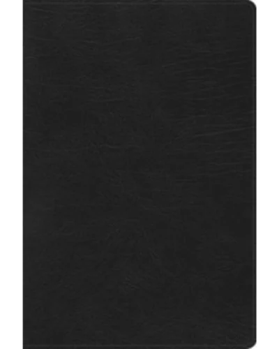 Biblia de Estudio Arco Iris, Reina Valera 1960, Símil Piel, Grande