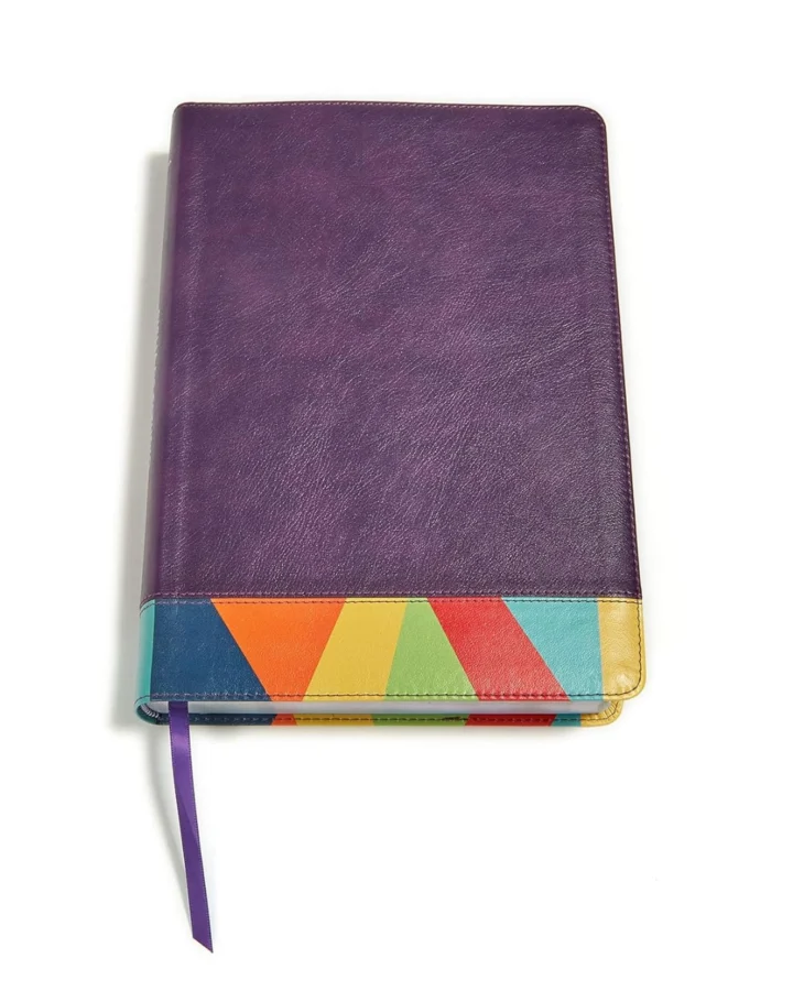 Biblia de Estudio Arco Iris, Reina Valera 1960, Símil Piel, Grande - Imagen 5