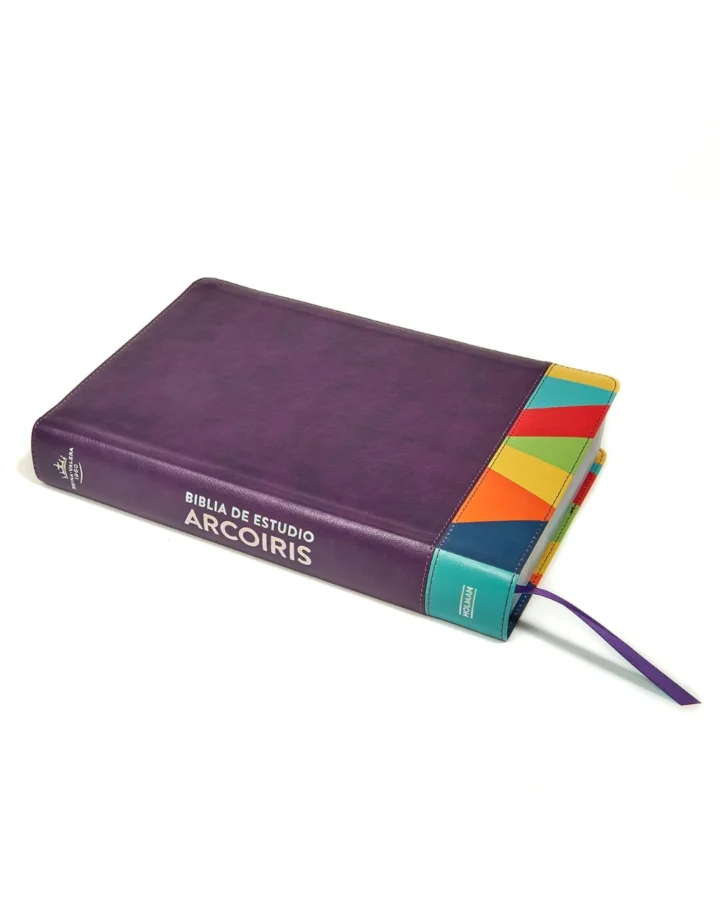 Biblia de Estudio Arco Iris, Reina Valera 1960, Símil Piel, Grande - Imagen 4
