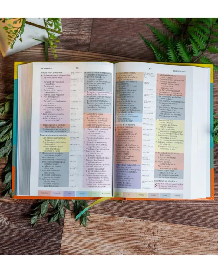 Biblia de Estudio Arco Iris, Reina Valera 1960, Tapa Dura, Grande - Imagen 4