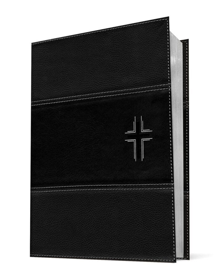 Biblia de Estudio Diario Vivir NTV, Letra Grande, Sentipiel - Imagen 5