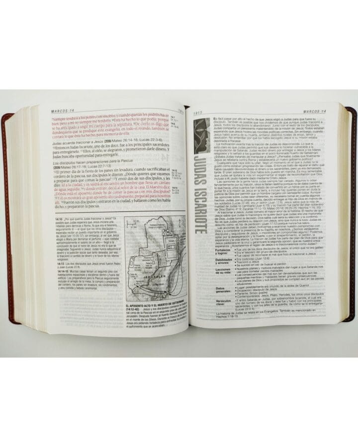 Biblia de Estudio Diario Vivir, Reina Valera 1960, Letra Grande, Sentipiel - Imagen 2