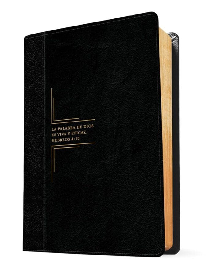 Biblia de Estudio Diario Vivir, Reina Valera 1960, Letra Grande, Sentipiel - Imagen 5