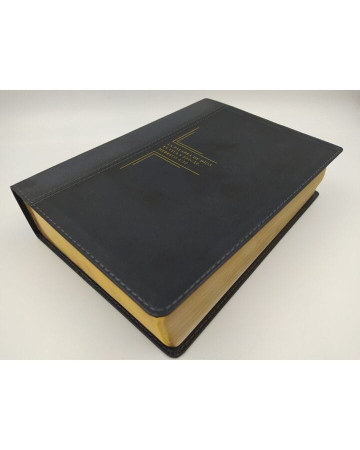 Biblia de Estudio Diario Vivir, Reina Valera 1960, Letra Grande, Sentipiel - Imagen 4