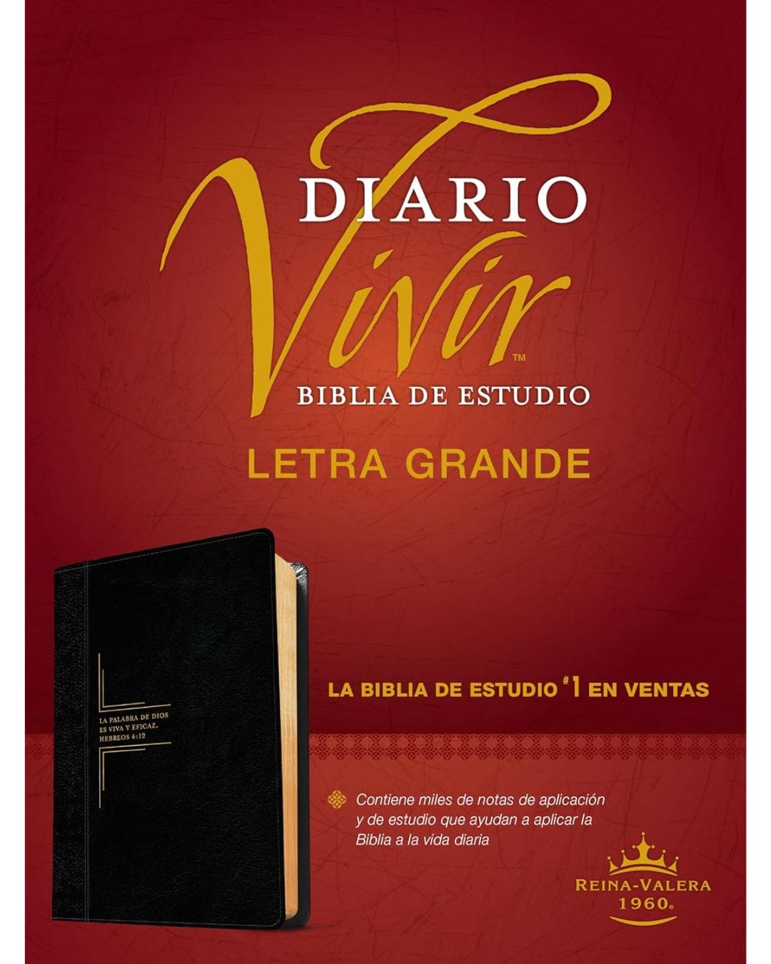 Biblia de Estudio Diario Vivir, Reina Valera 1960, Letra Grande, Sentipiel