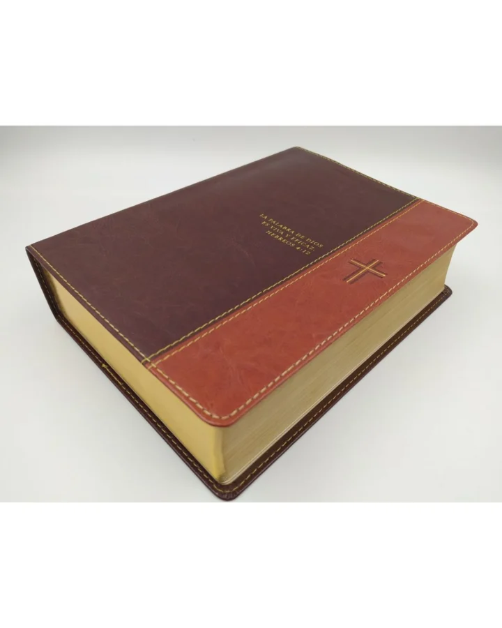 Biblia de Estudio Diario Vivir, Reina Valera 1960, Sentipiel - Imagen 2