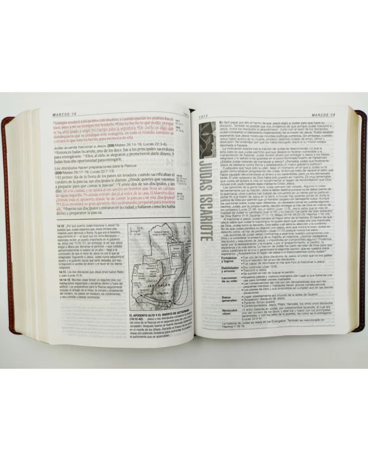 Biblia de Estudio Diario Vivir, Reina Valera 1960, Sentipiel - Imagen 4