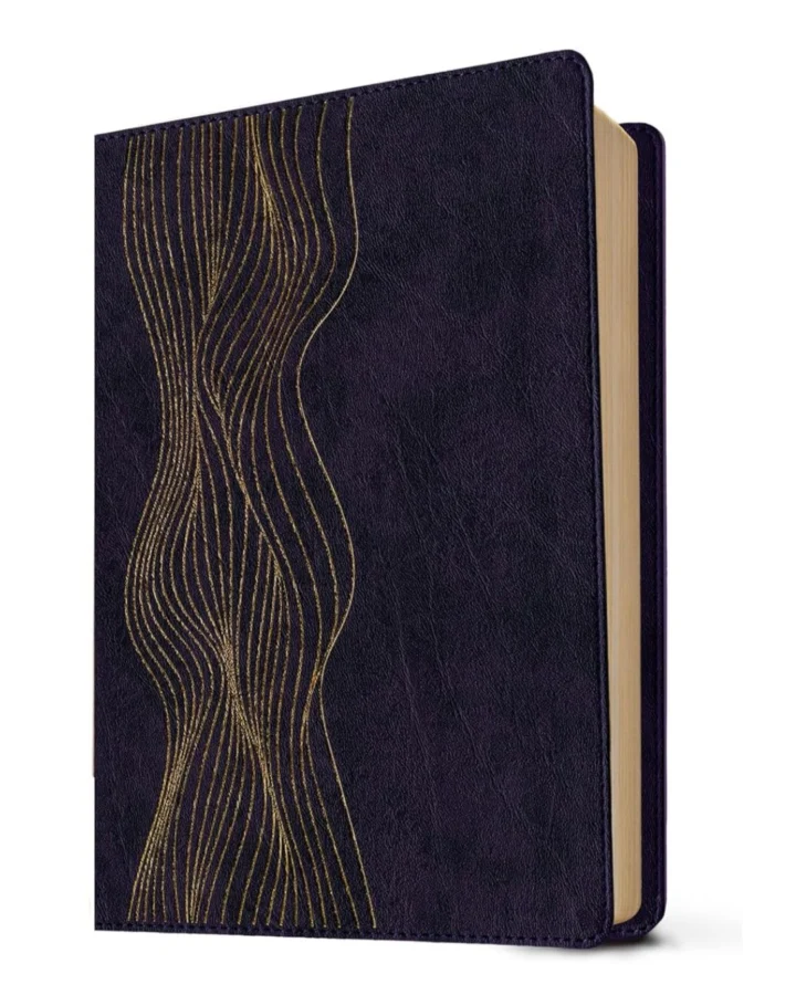 Biblia de Estudio Diario Vivir, Reina Valera 1960, Sentipiel, Grande - Imagen 2