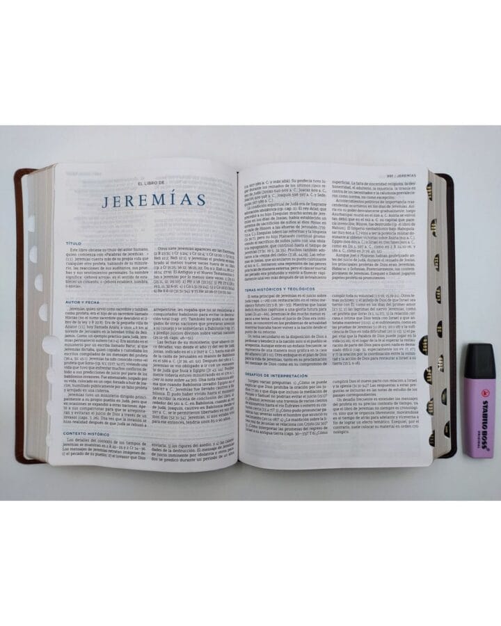 Biblia de Estudio MacArthur Nueva Biblia de Las Americas, Símil Piel, con Índice - Imagen 4