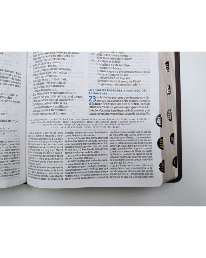 Biblia de Estudio MacArthur Nueva Biblia de Las Americas, Símil Piel, con Índice - Imagen 3