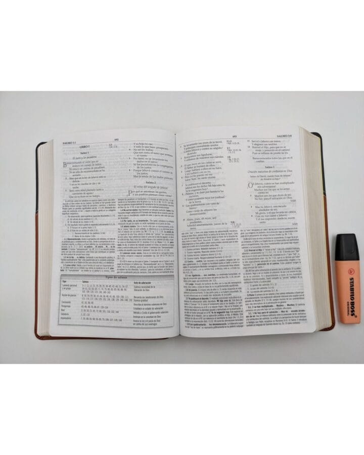 Biblia de Estudio MacArthur Reina Valera 1960, Símil Piel - Imagen 5