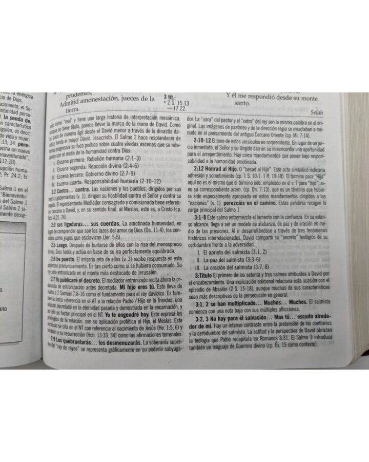 Biblia de Estudio MacArthur Reina Valera 1960, Símil Piel - Imagen 4