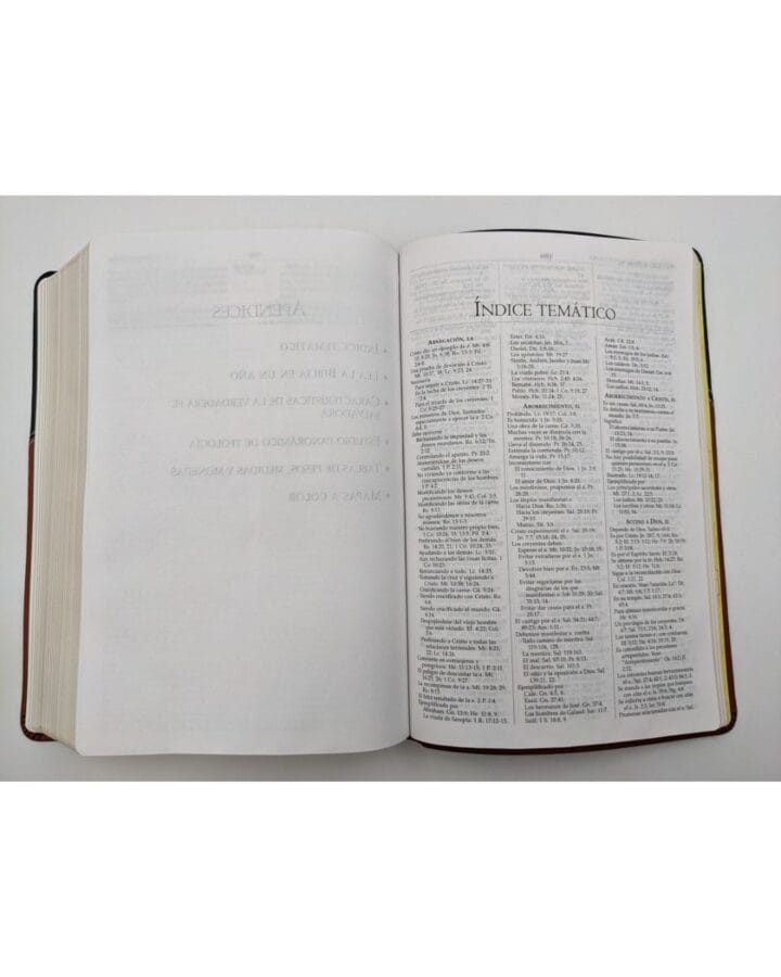 Biblia de Estudio MacArthur Reina Valera 1960, Símil Piel - Imagen 3