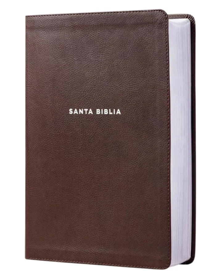 Biblia de Estudio NVI, Letra Grande, Imitación Piel, Gigante