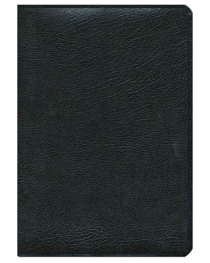 Biblia de Estudio Plenitud, Reina Valera 1960, Piel, Grande - Imagen 2