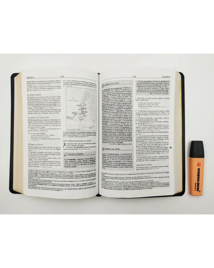 Biblia de Estudio Plenitud, Reina Valera 1960, Piel, Grande - Imagen 4