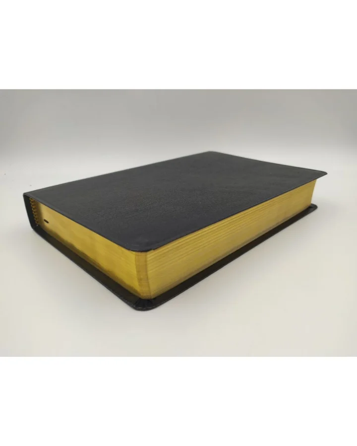 Biblia de Estudio Plenitud, Reina Valera 1960, Piel, Grande - Imagen 3