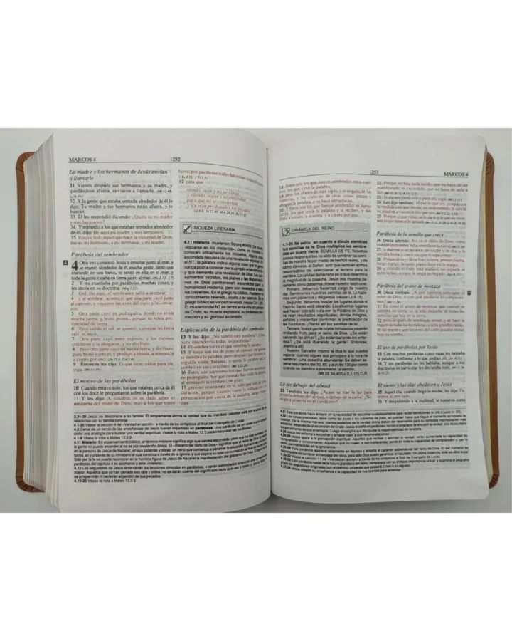 Biblia de Estudio Plenitud, Reina Valera 1960, Símil Piel, Grande - Imagen 3