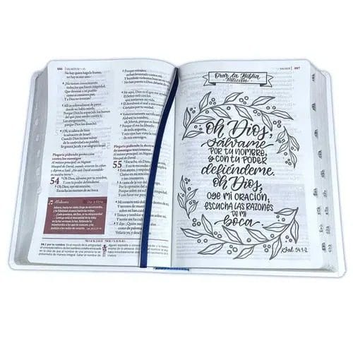 Biblia de Estudio Ser Mujer, Reina Valera 1930, Letra Grande, Piel, con Índice - Imagen 2