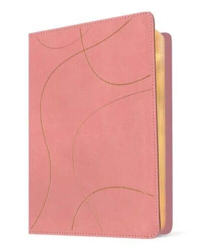 Biblia de Estudio del Diario Vivir para Jóvenes, NTV, Senti Piel, Grande