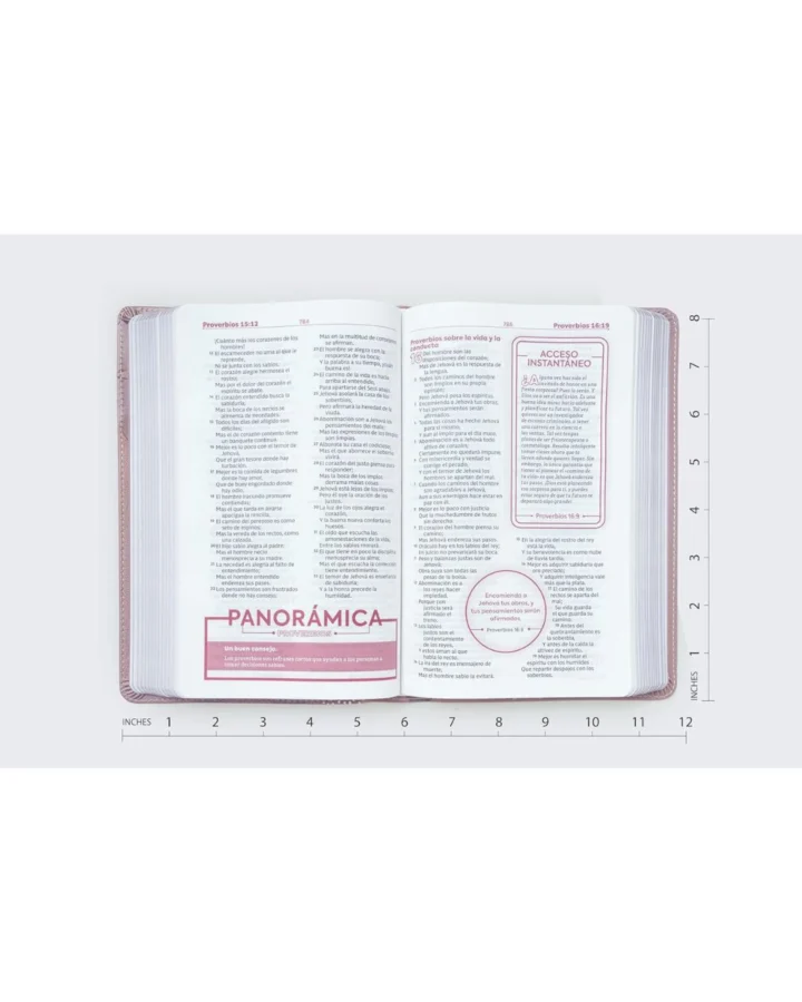 Biblia de Estudio para Jóvenes, Reina Valera 1960, Símil Piel, Manual - Imagen 6