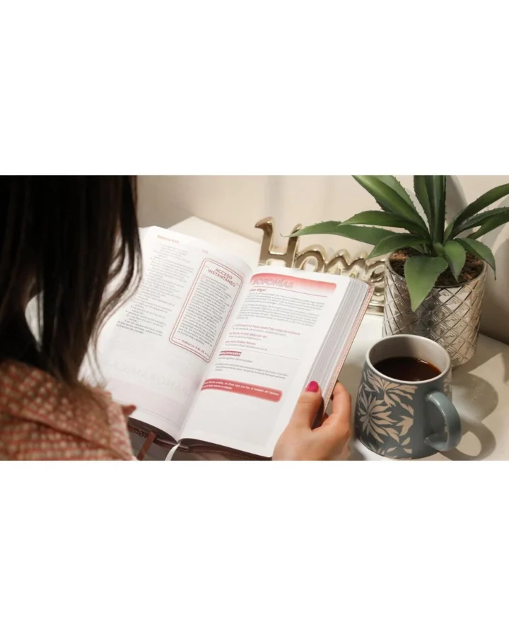 Biblia de Estudio para Jóvenes, Reina Valera 1960, Símil Piel, Manual - Imagen 3