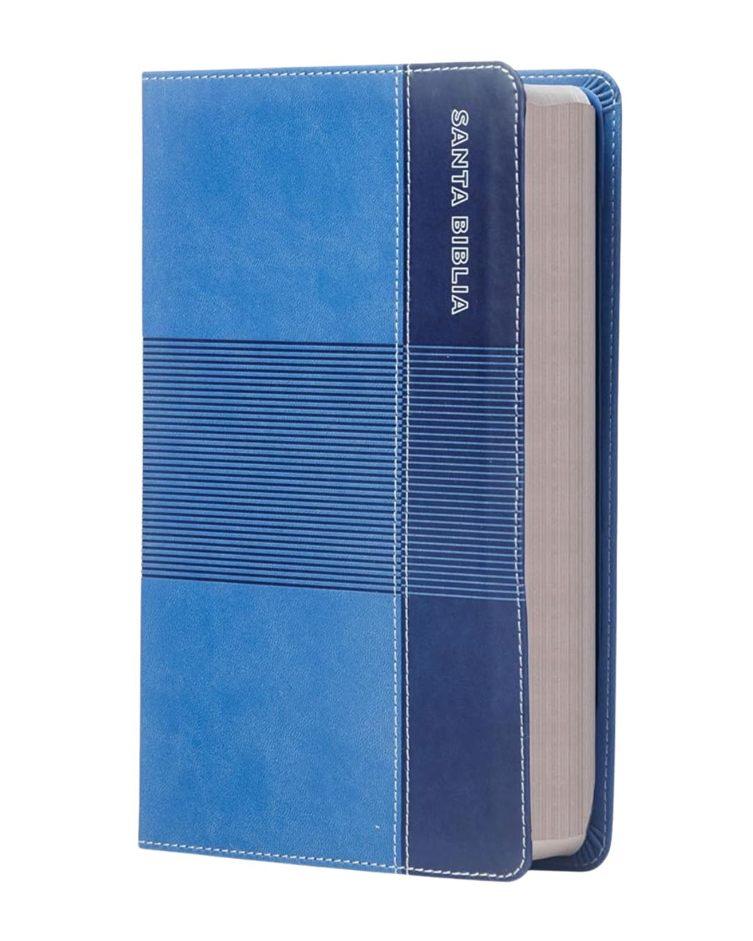 Biblia de Estudio para Jóvenes, Reina Valera 1960, Símil Piel, Manual