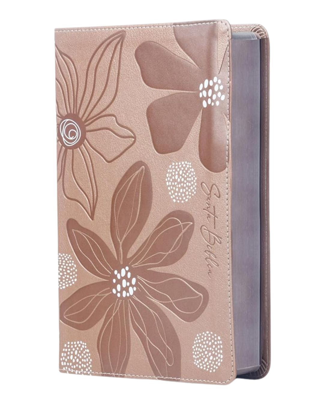 Biblia de Estudio para Jóvenes, Reina Valera 1960, Símil Piel, Manual