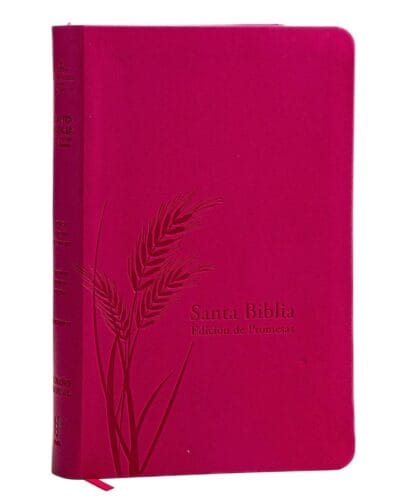 Biblia de Promesas Reina Valera 1960, Letra Grande, Piel Especial, Manual